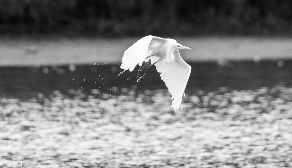 Beauty of the spray